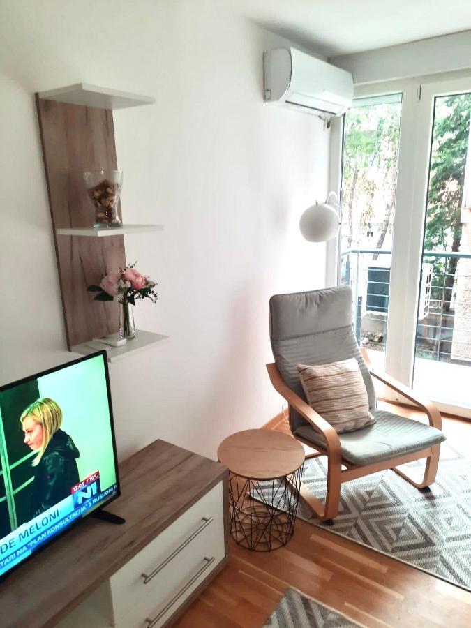 Alma Vracar Appartement Belgrado Buitenkant foto