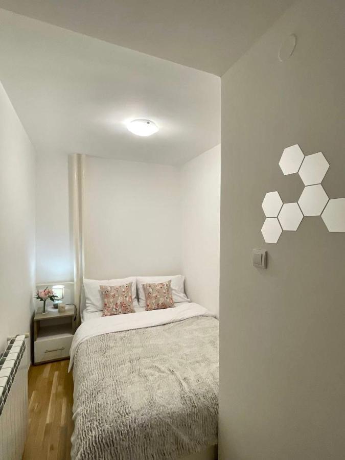Alma Vracar Appartement Belgrado Buitenkant foto