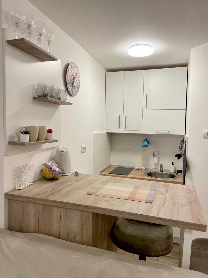 Alma Vracar Appartement Belgrado Buitenkant foto