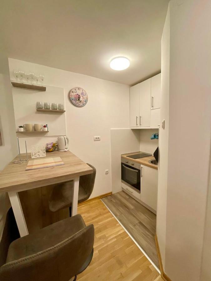 Alma Vracar Appartement Belgrado Buitenkant foto
