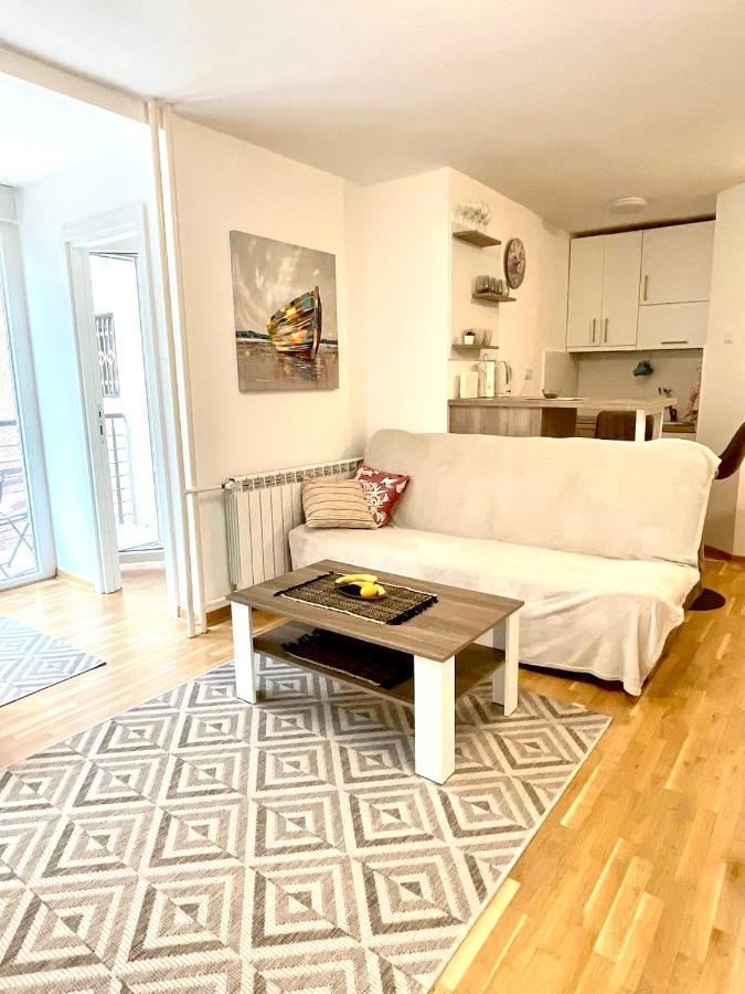 Alma Vracar Appartement Belgrado Buitenkant foto