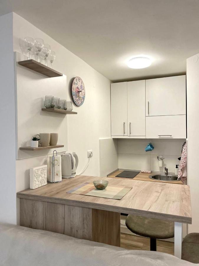 Alma Vracar Appartement Belgrado Buitenkant foto