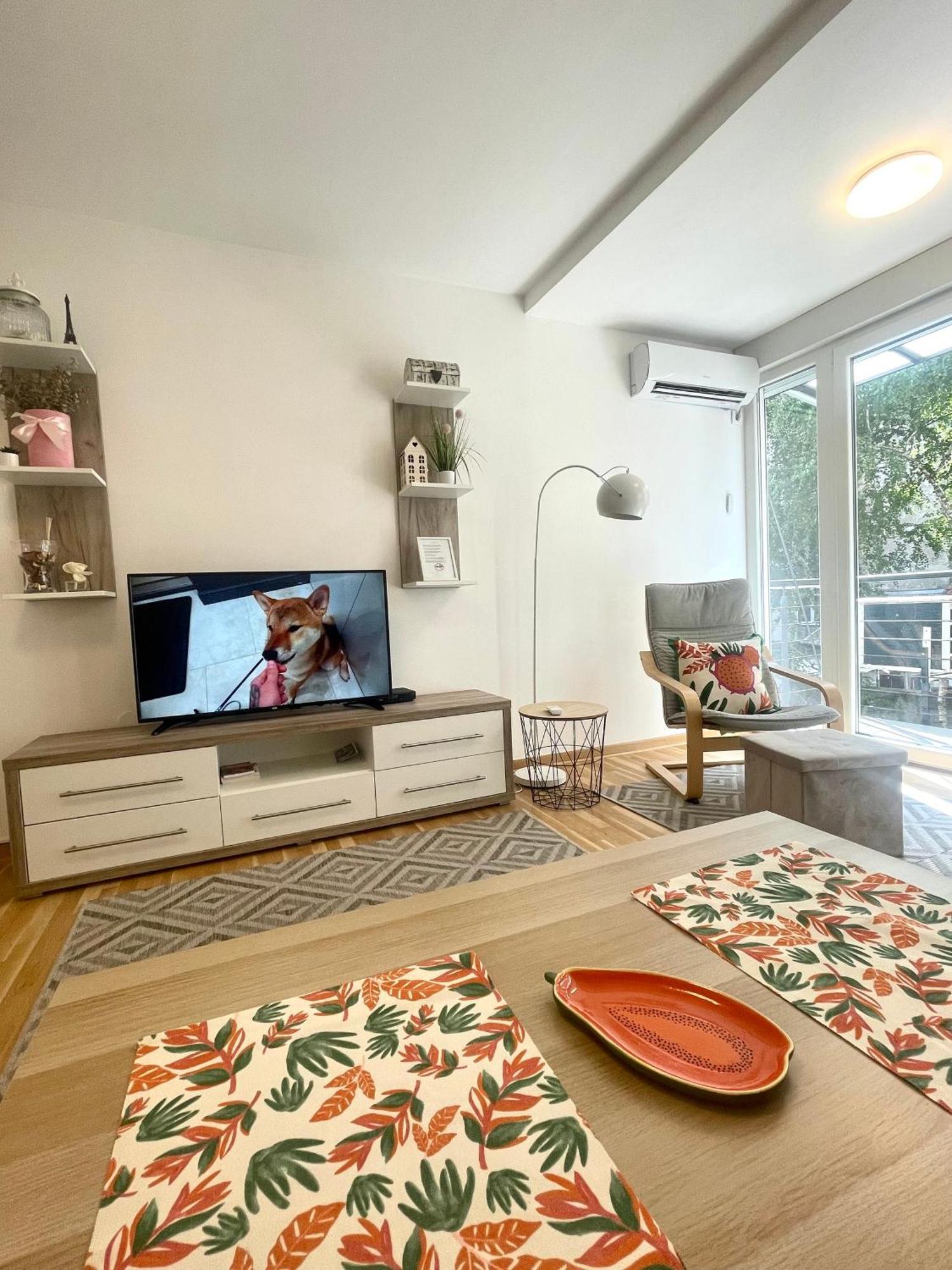 Alma Vracar Appartement Belgrado Buitenkant foto